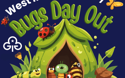 Bugs Day Out